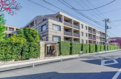 パークコート学芸大学デュアルプレイスの外観